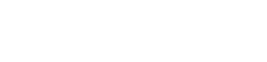ZenaDrone