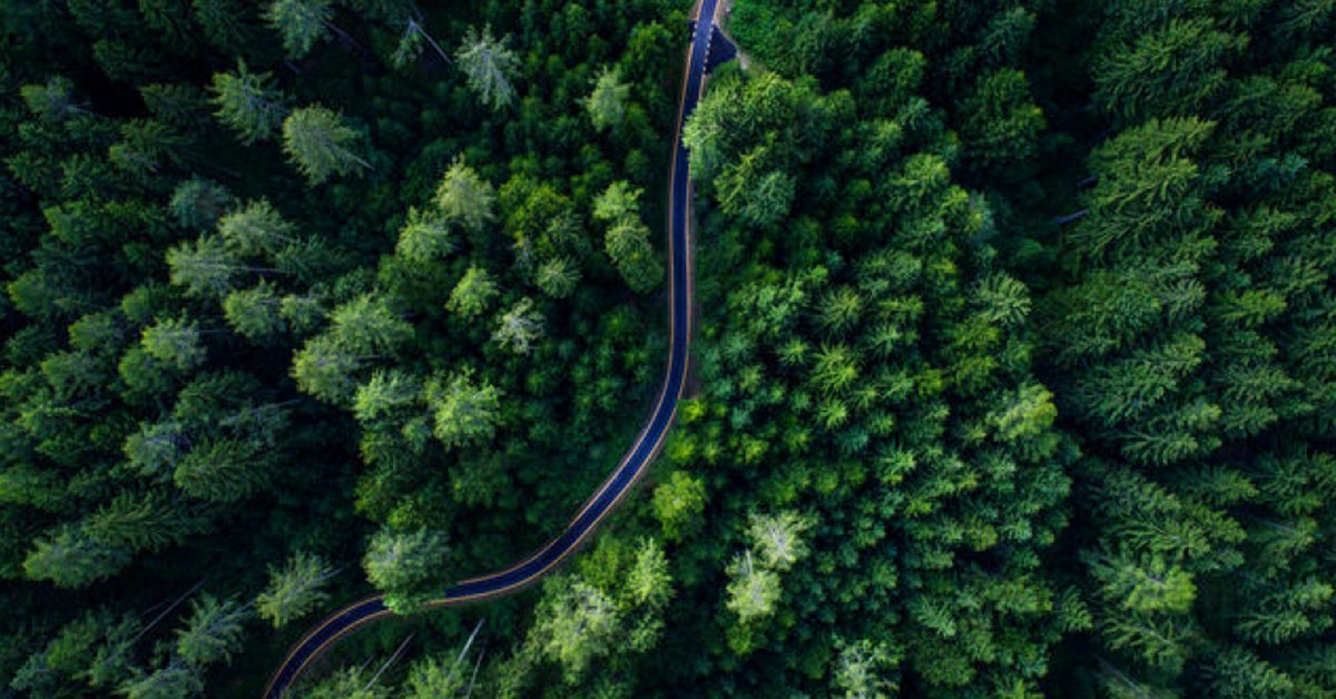 Drone Camera: Capturing A Different View of the World