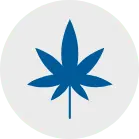 Placeholder8