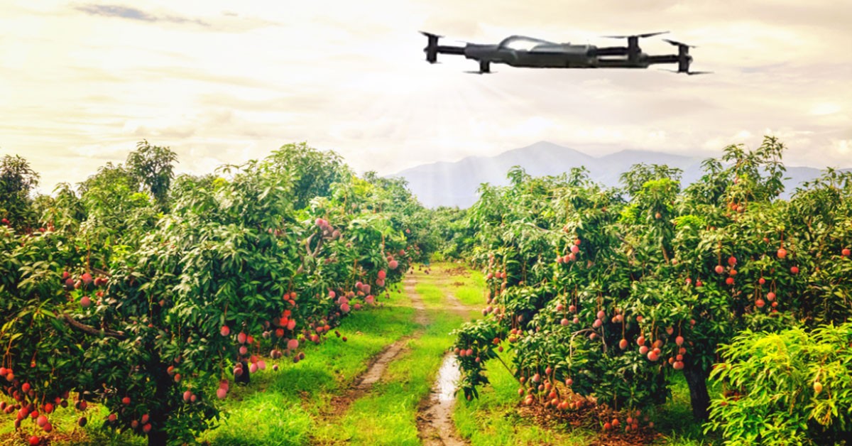 Drone Uses and Benefits in the Fruit Production Industry