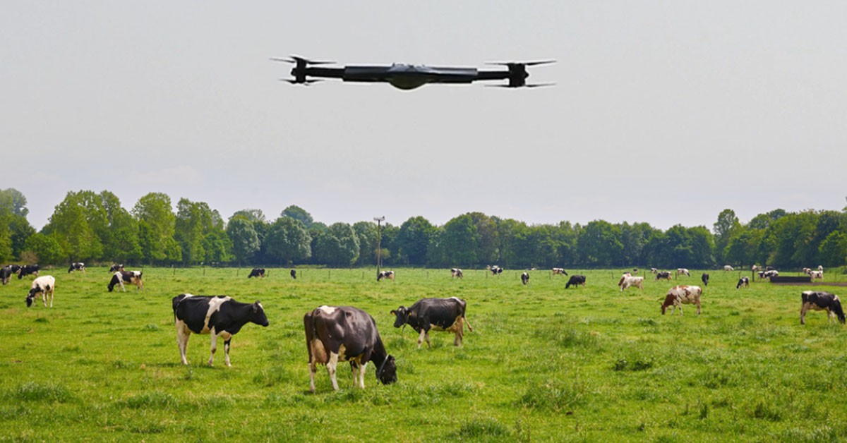 5 Best Drone Features for Tracking Cattle