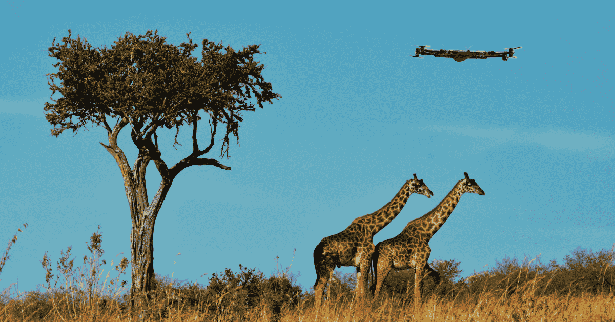 Innovative Applications of Drone Cameras: From Wildlife Conservation to Infrastructure Inspection