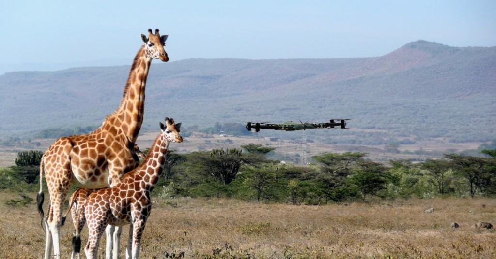 Drones in Forest Preservation: Enhancing Conservation Strategies