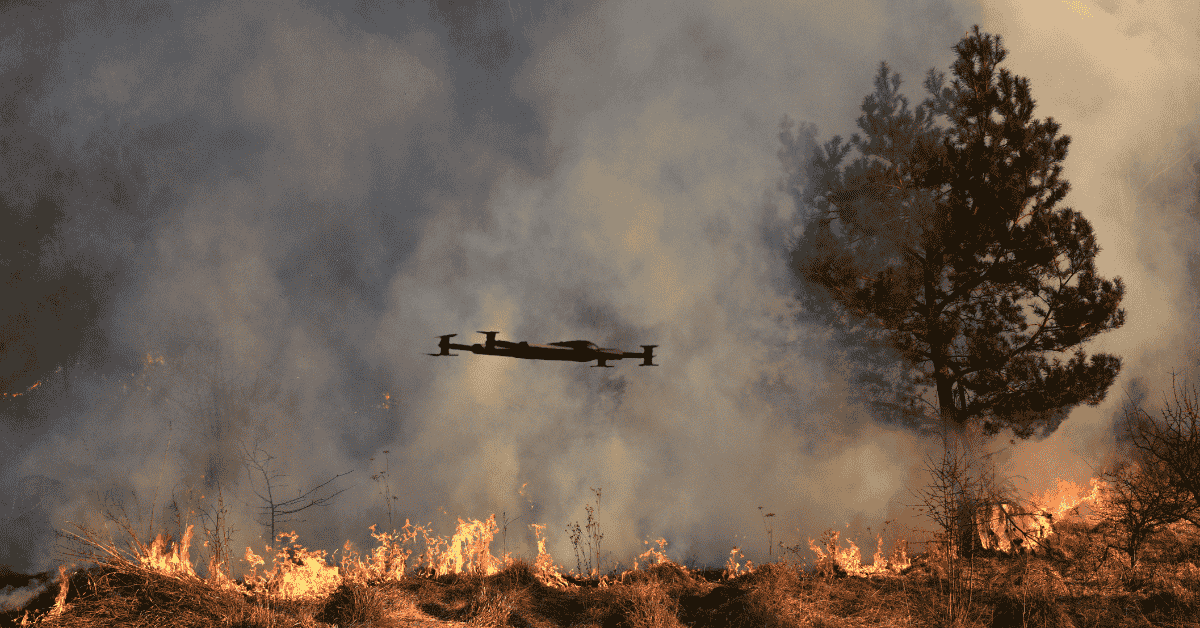 Benefits and Costs of Emergency Drones Use in Disaster Response