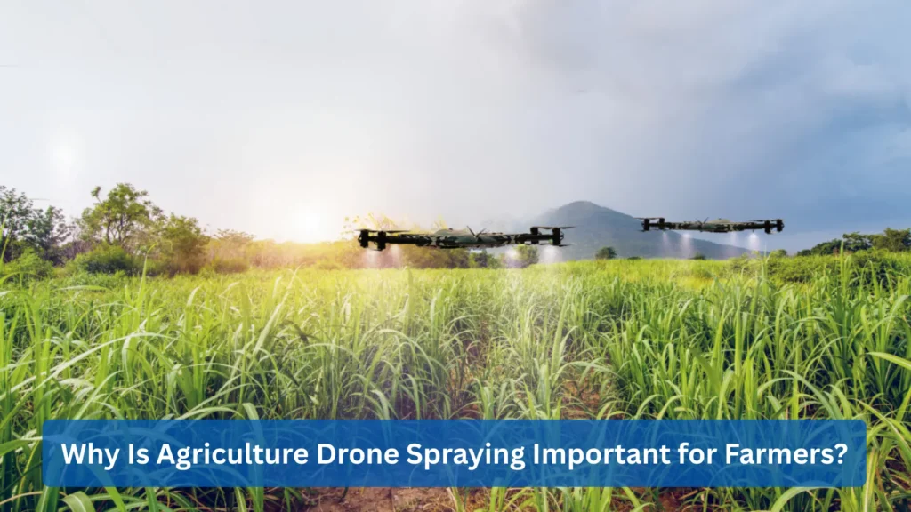 Why Is Agriculture Drone Spraying Important for Farmers