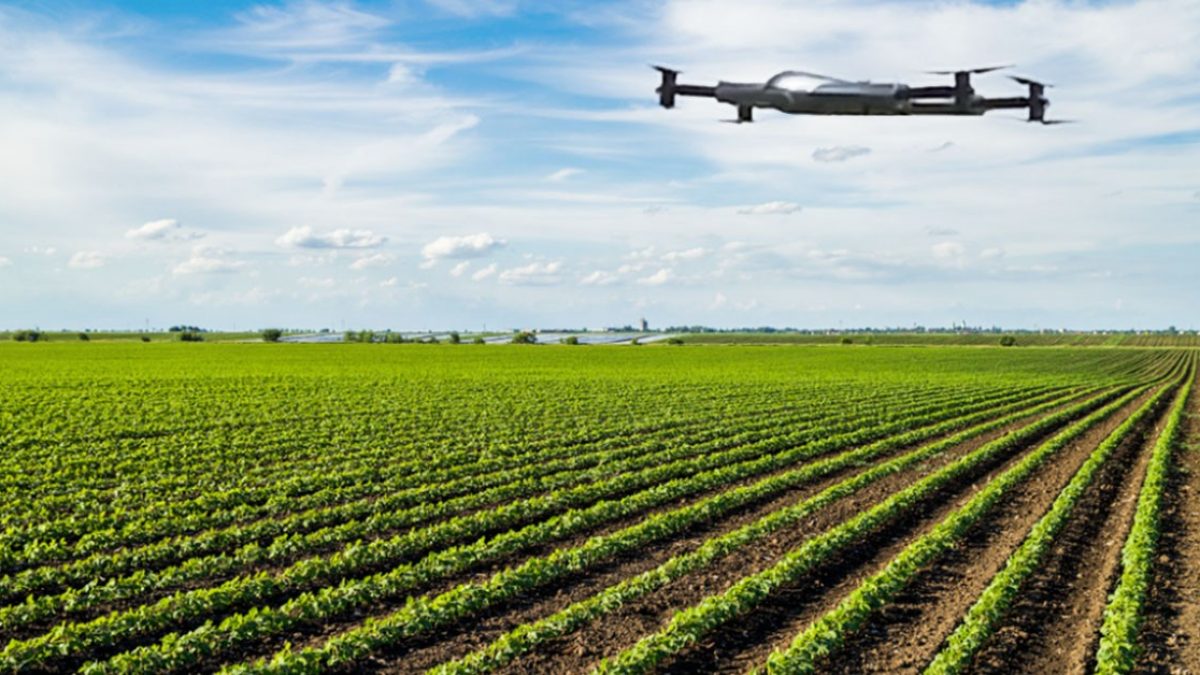 Revolutionizing Agriculture: The Benefits of Drone Farming - Regulatory Considerations for Drone Farming