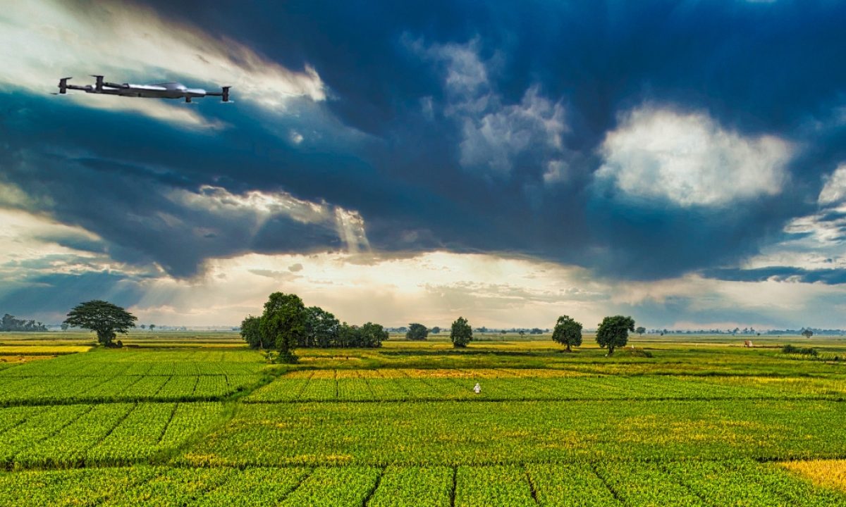 Applications of Drones in the Agriculture Industry