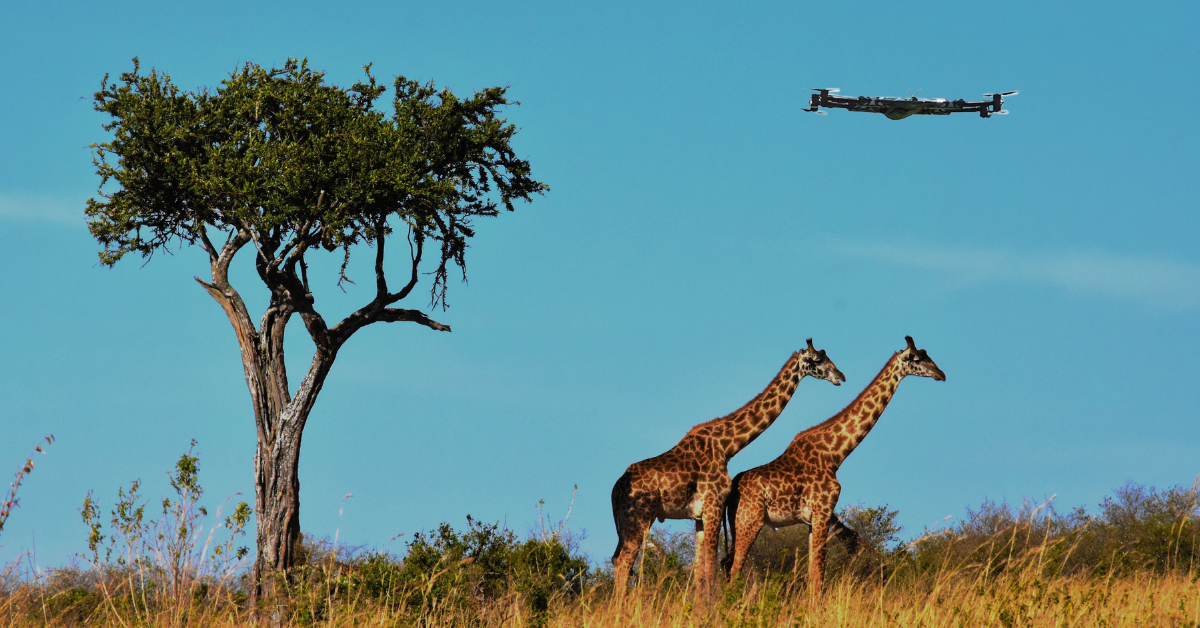 The Ethics Of Drones For Wildlife Conservation